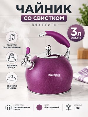 Чайник со свистком 3 л из нержавеющей стали, фиолетовый, для плиты